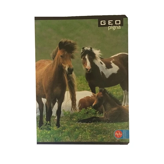 Füzet A/5 Geo kockás, 32 lapos