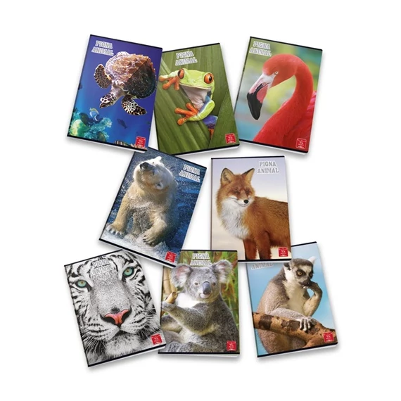 Füzet Pigna Animal A/5 tűzött 42 lapos kockás