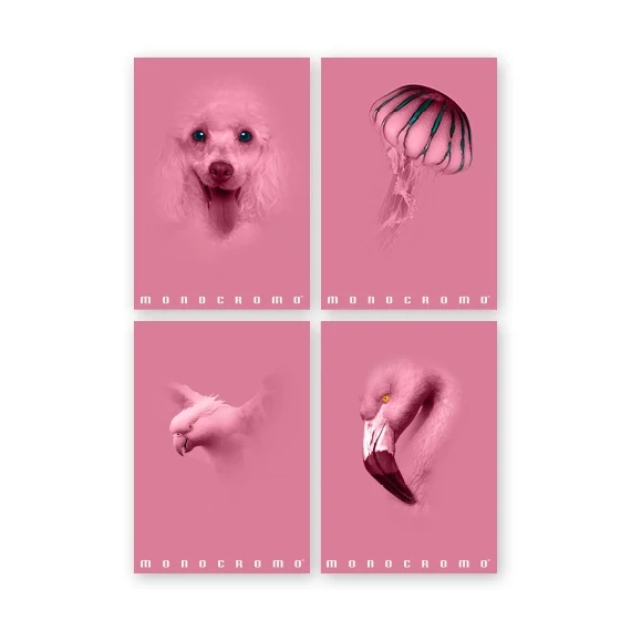 Füzet Pigna Monocromo Pink A/4 tűzött 38 lapos kockás