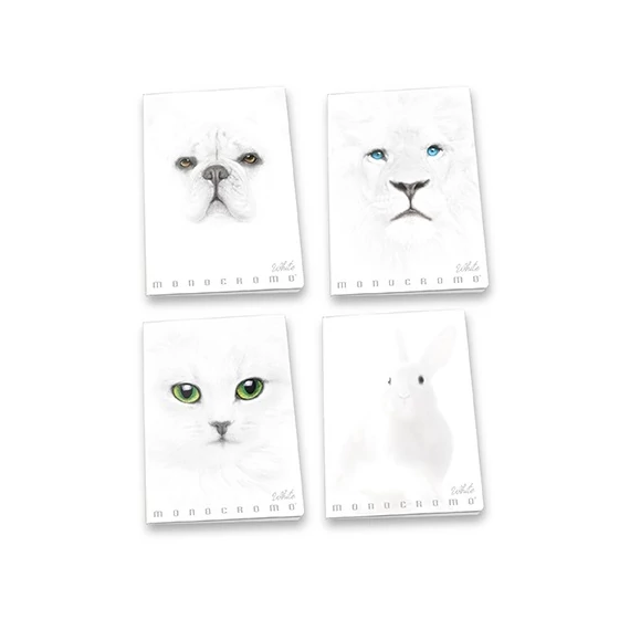 Füzet Pigna Monocromo White A/4 38 lapos vonalas