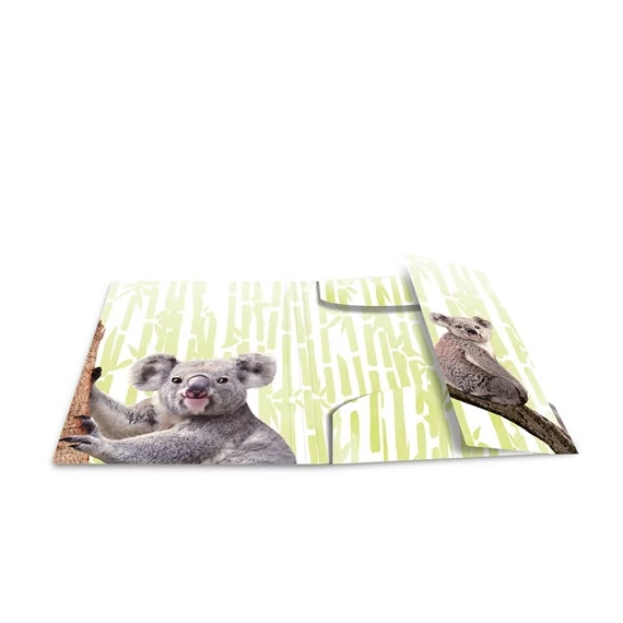 Gumis mappa PP Herma A/3 Koalák