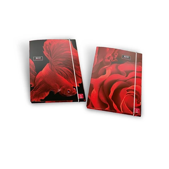 Gumis mappa Pigna Red Shiver A/4
