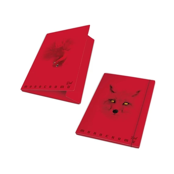 Gumis mappa karton Pigna Monocromo Red A/4