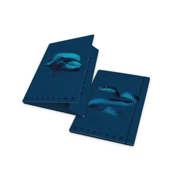 Gumis mappa karton Pigna Monocromo Blue A/4