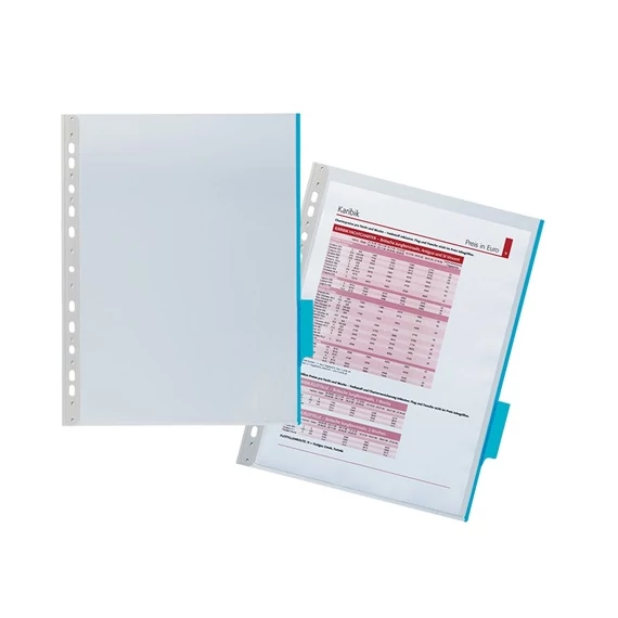 Bemutatótábla Durable Function A/4 PVC áttetsző, kék jelölőfüllel