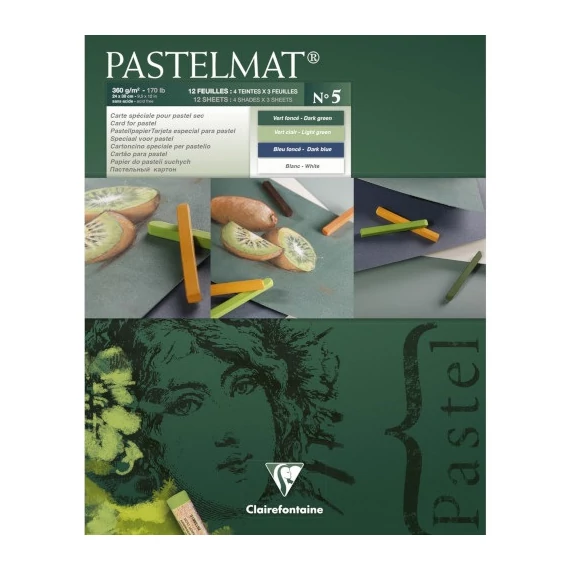 Művészeti rajztömb Clairefontaine Pastelmat n°5 24x30 cm 12 lap 360g vegyes színek